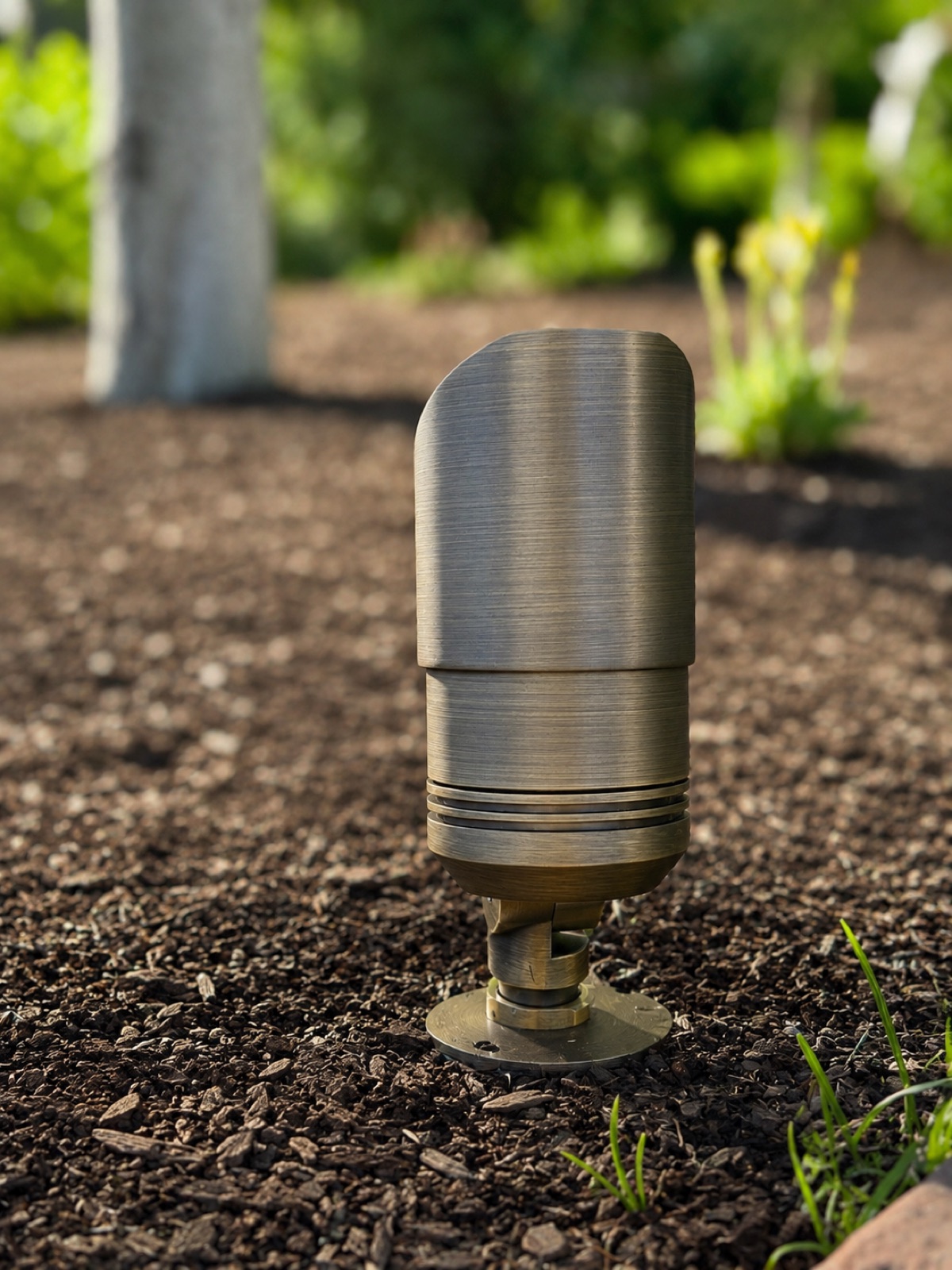 Bronze tree uplight landscape lighting Utah