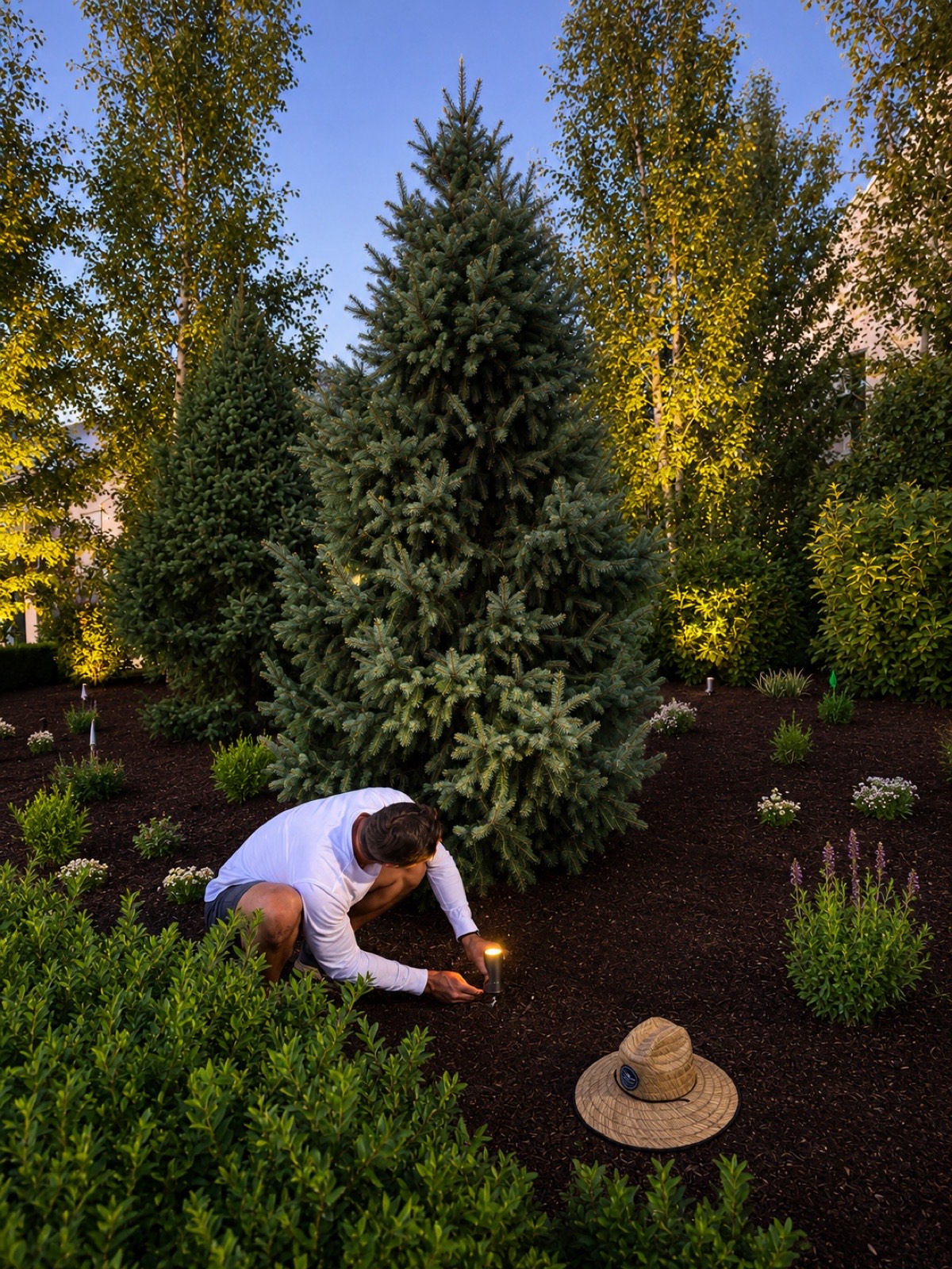 Landscape lighting adjustment and tuning