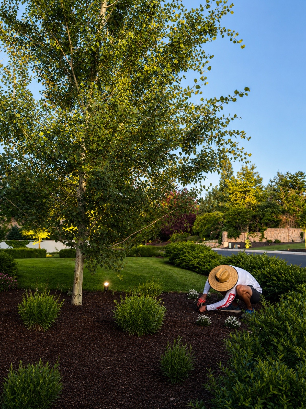 Professional landscape lighting installation Utah